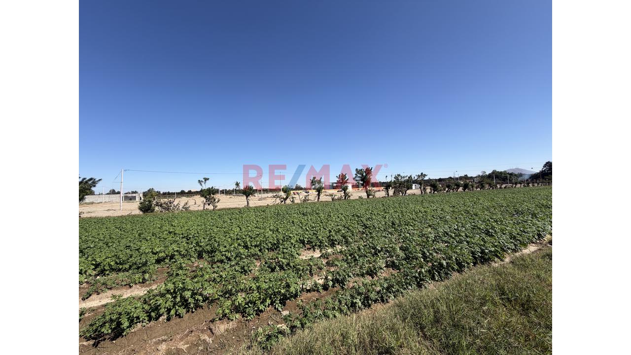 Hectáreas En Venta Al Pie De La Pista - 7