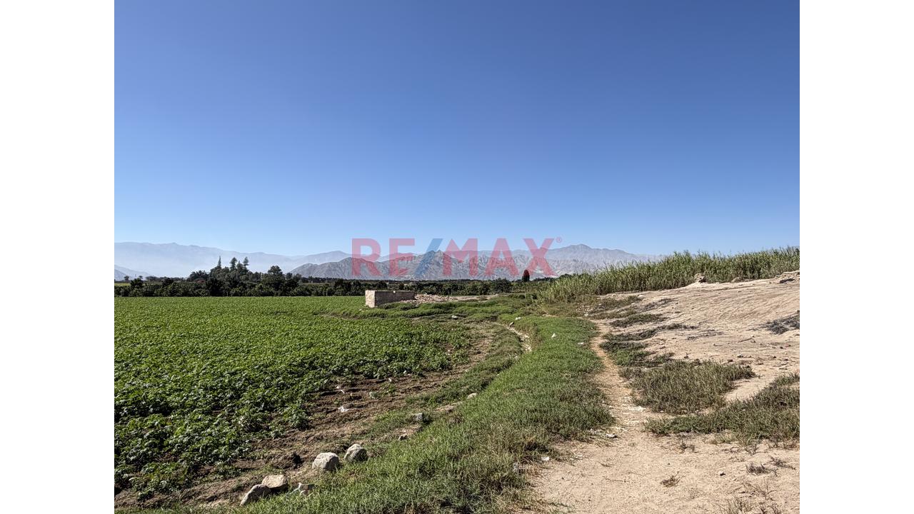 Hectáreas En Venta Al Pie De La Pista - 5