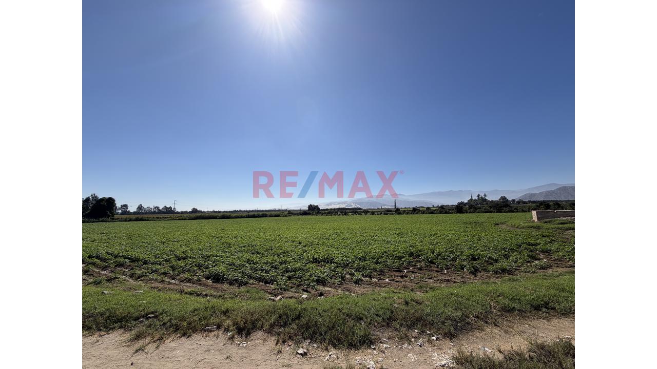 Hectáreas En Venta Al Pie De La Pista - 8