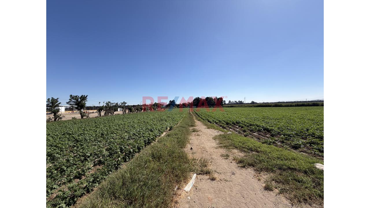 Hectáreas En Venta Al Pie De La Pista - 6