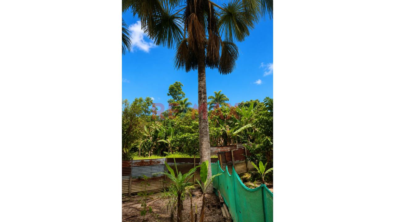 Amplio Terreno En Venta En San Juan Bautista – Maynas - 3