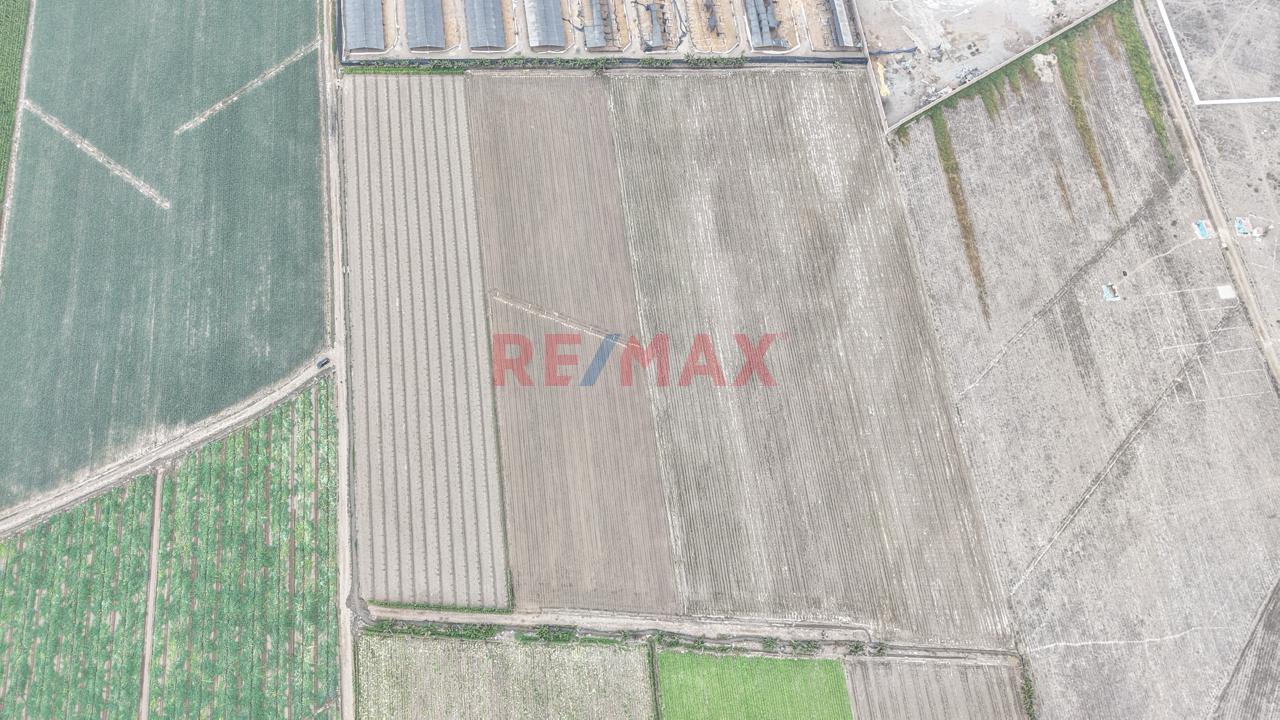Vendo Terreno 31,000M2 - Km 85 Panamericana Norte - Chancay — foto 6