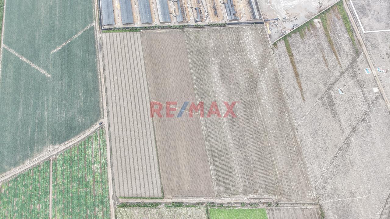 Vendo Terreno 31,000M2 - Km 85 Panamericana Norte - Chancay — foto 3