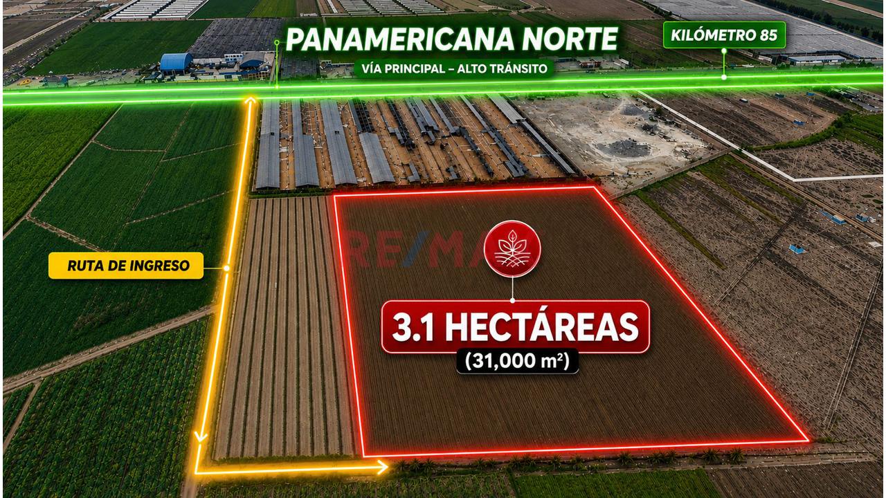 Vendo Terreno 31,000M2 - Km 85 Panamericana Norte - Chancay — foto 2