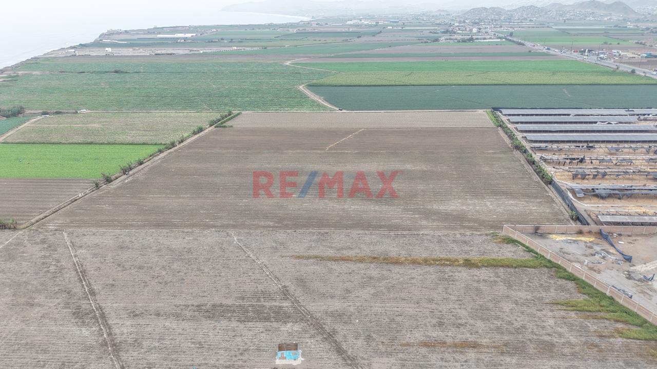 Vendo Terreno 31,000M2 - Km 85 Panamericana Norte - Chancay — foto 5