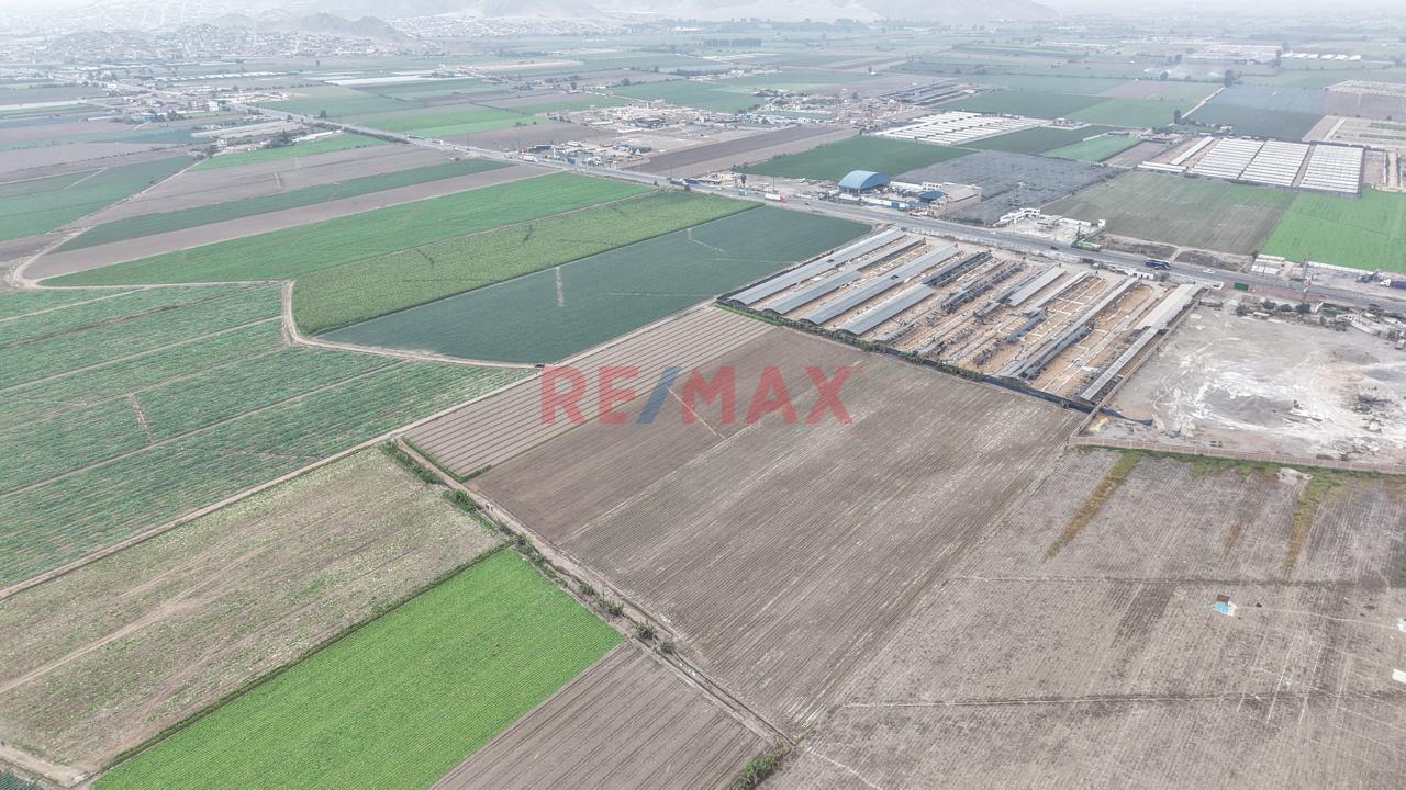 Vendo Terreno 31,000M2 - Km 85 Panamericana Norte - Chancay — foto 4
