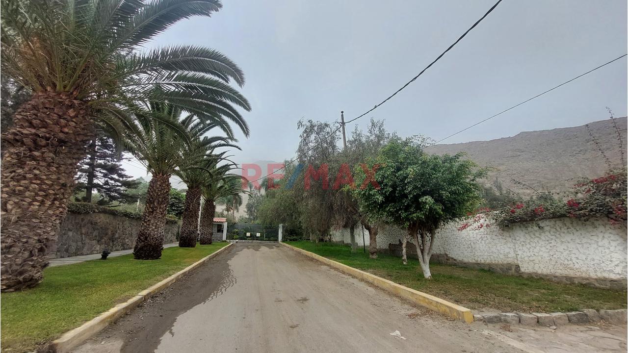 Vendo Terreno 2500M2 At. Urb. Cusipata Chaclacayo - 8