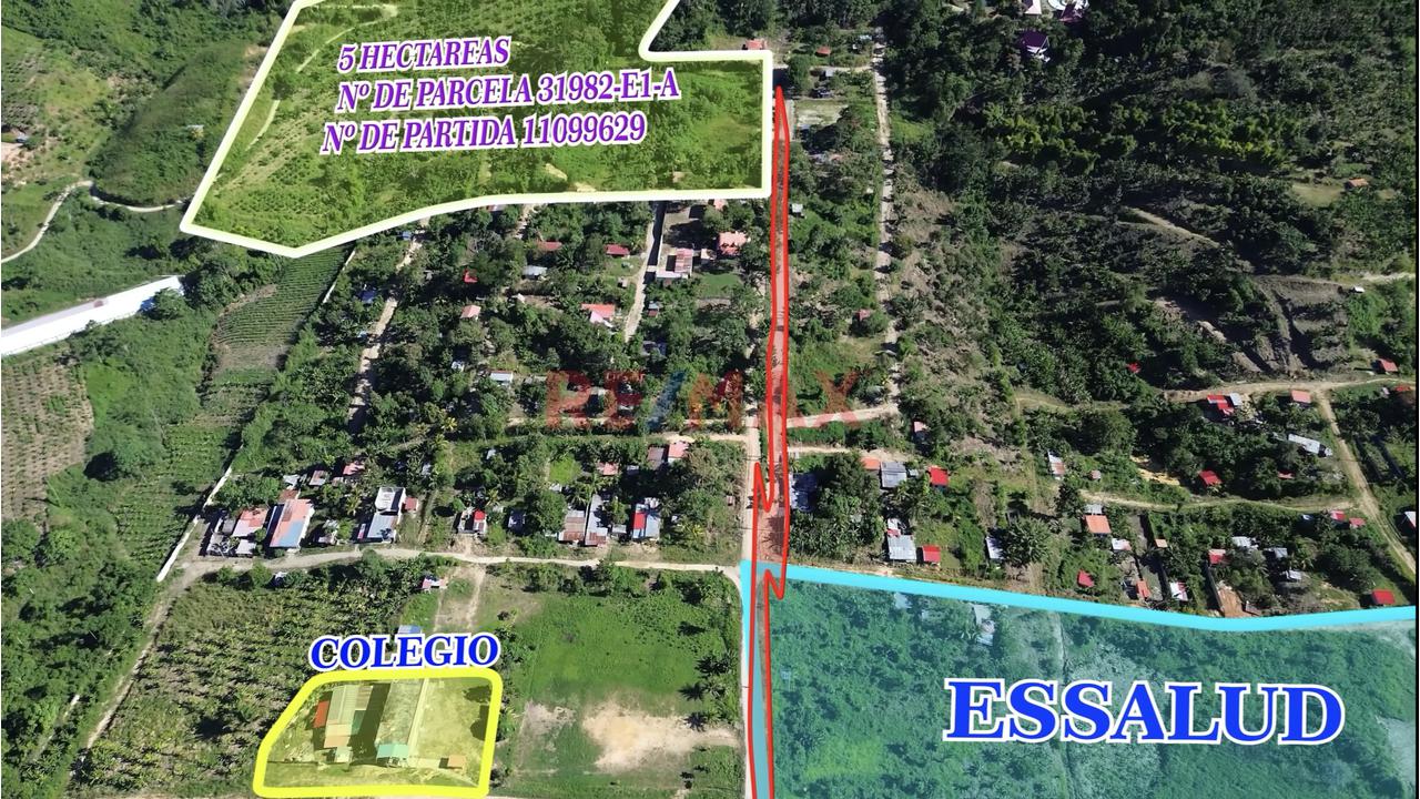 🌿 ¡Gran Oportunidad De Inversión En Pichanaqui! 🌿 - 5
