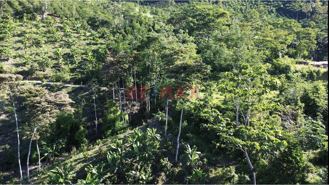 🌿 ¡Gran Oportunidad De Inversión En Pichanaqui! 🌿 - 4