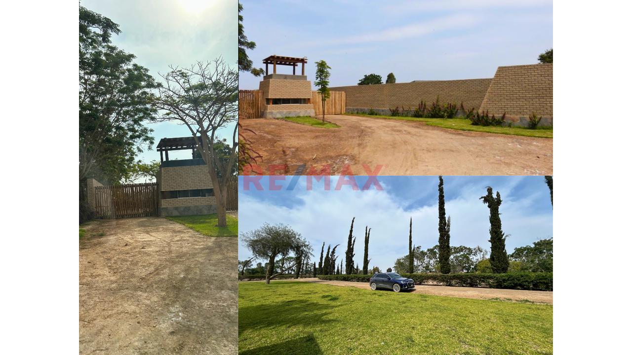 Venta De Terreno En Condominio Ecológico – Villa Totora, Quilmaná (Cañete) — foto 11