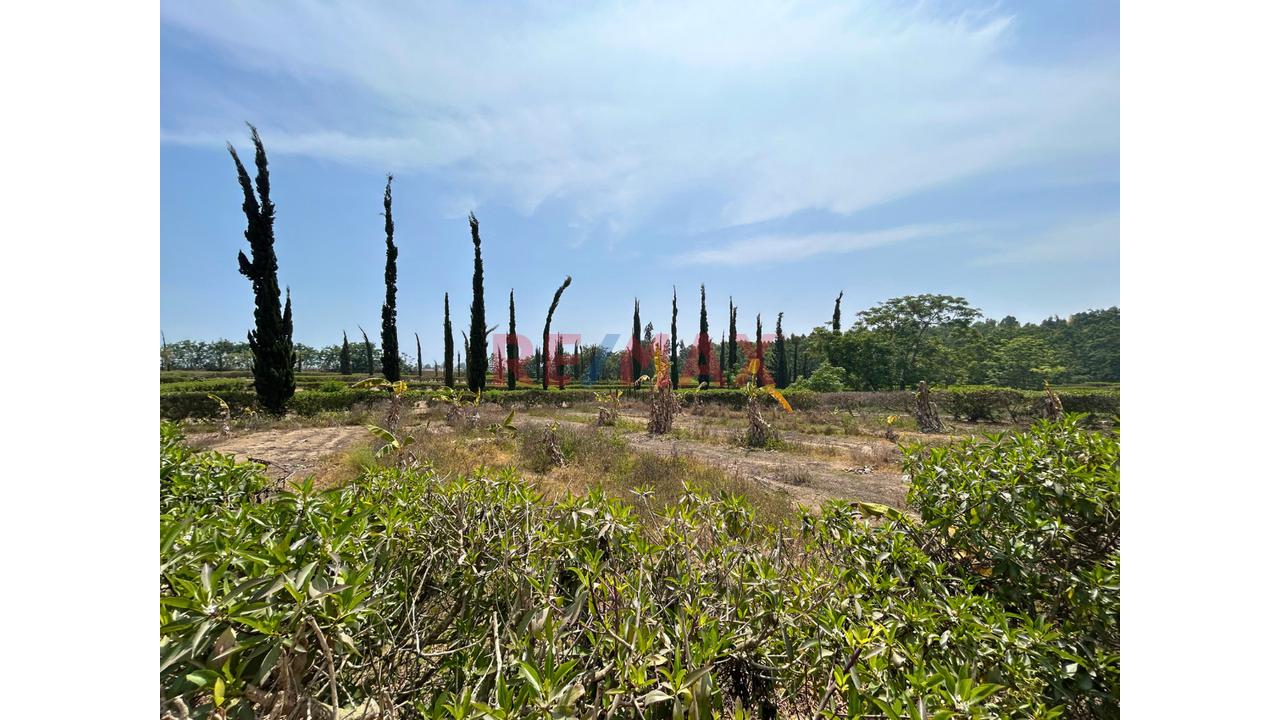 Venta De Terreno En Condominio Ecológico – Villa Totora, Quilmaná (Cañete) — foto 14