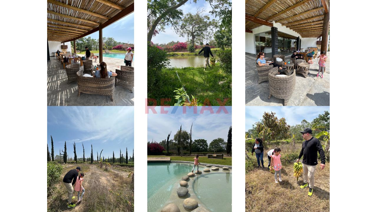 Venta De Terreno En Condominio Ecológico – Villa Totora, Quilmaná (Cañete) — foto 8