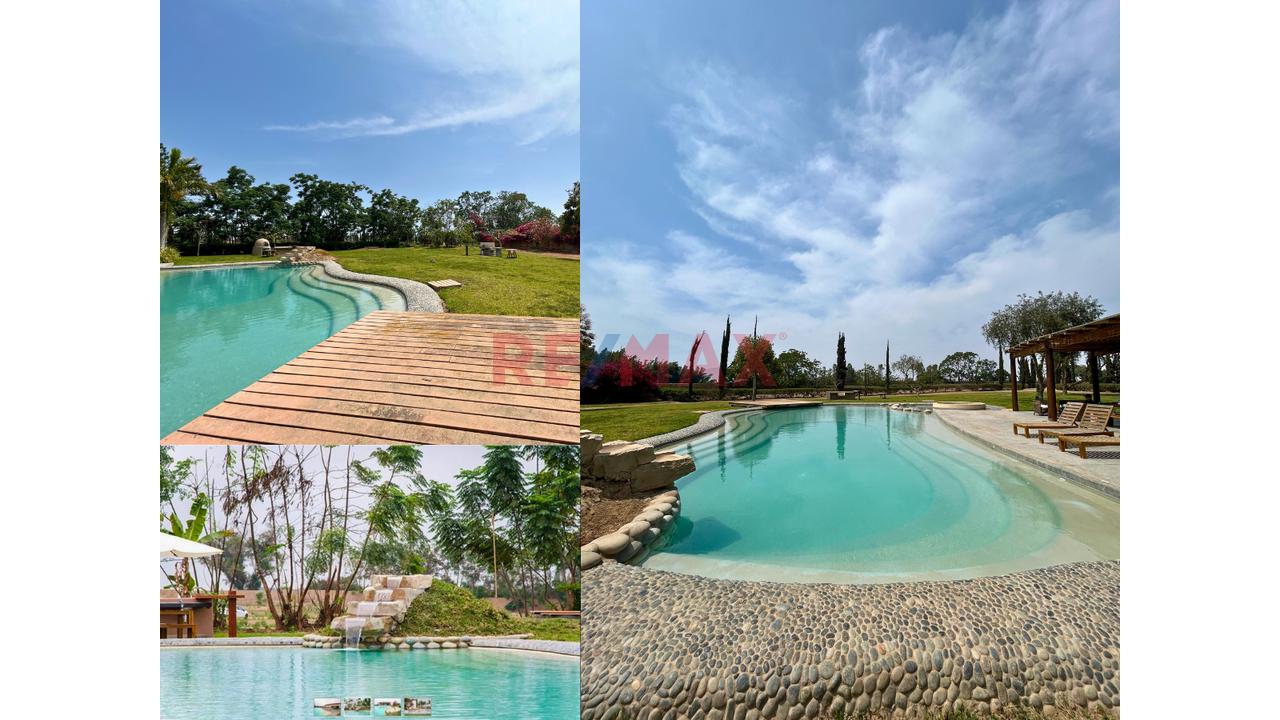 Venta De Terreno En Condominio Ecológico – Villa Totora, Quilmaná (Cañete) — foto 7