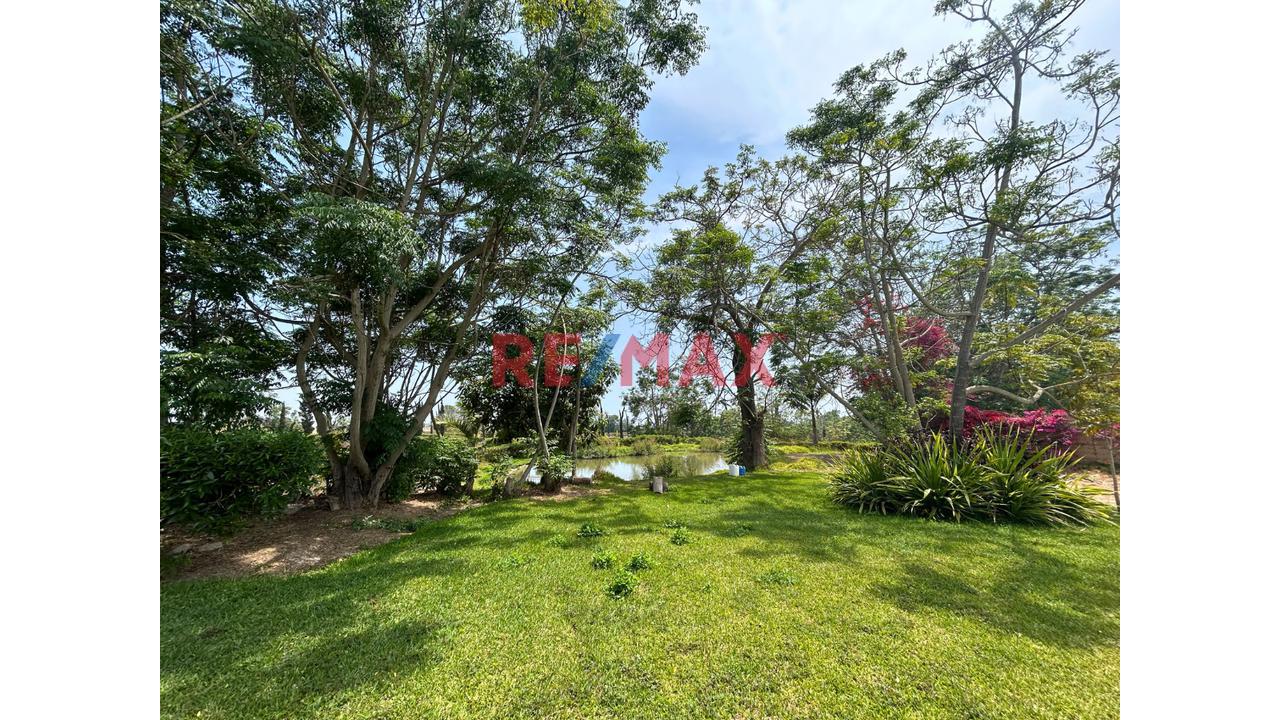 Venta De Terreno En Condominio Ecológico – Villa Totora, Quilmaná (Cañete)