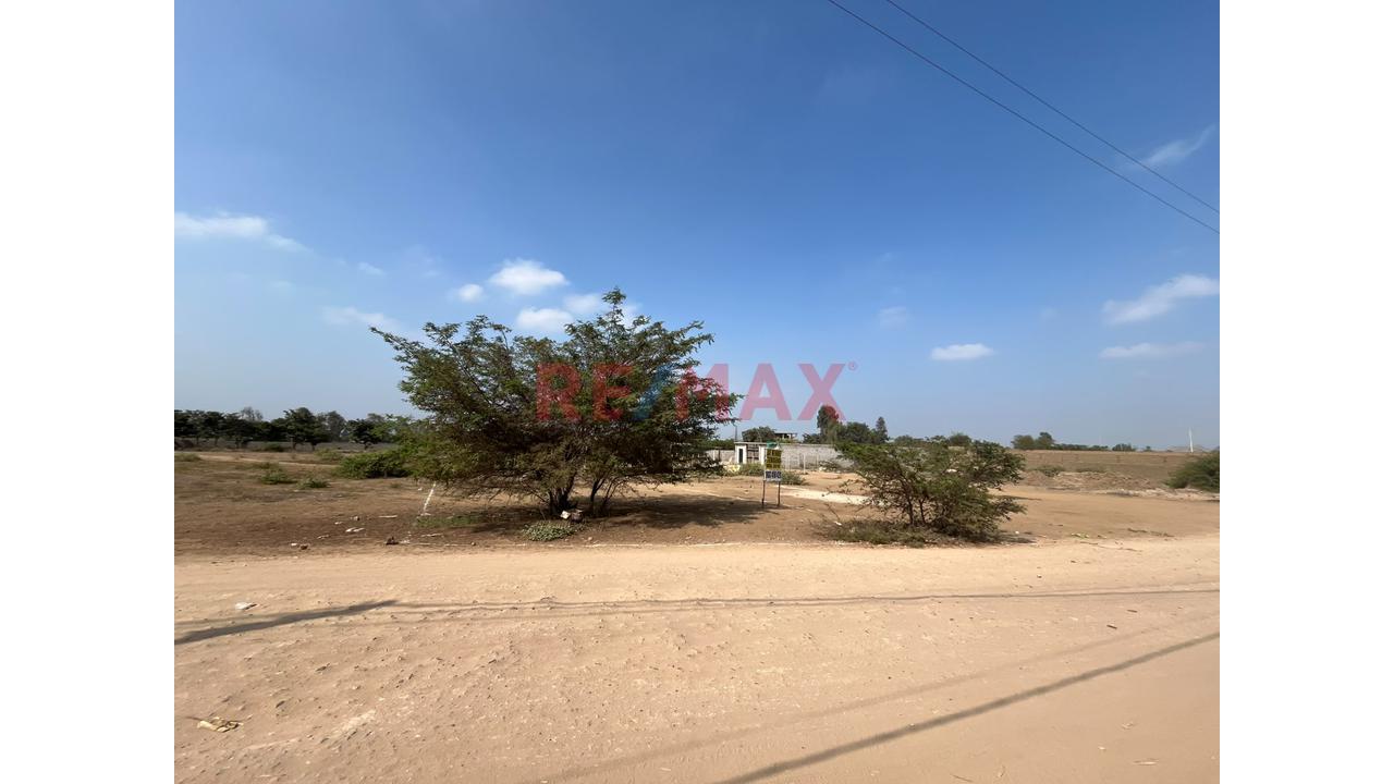 Venta Terreno Agricola Laredo - 2