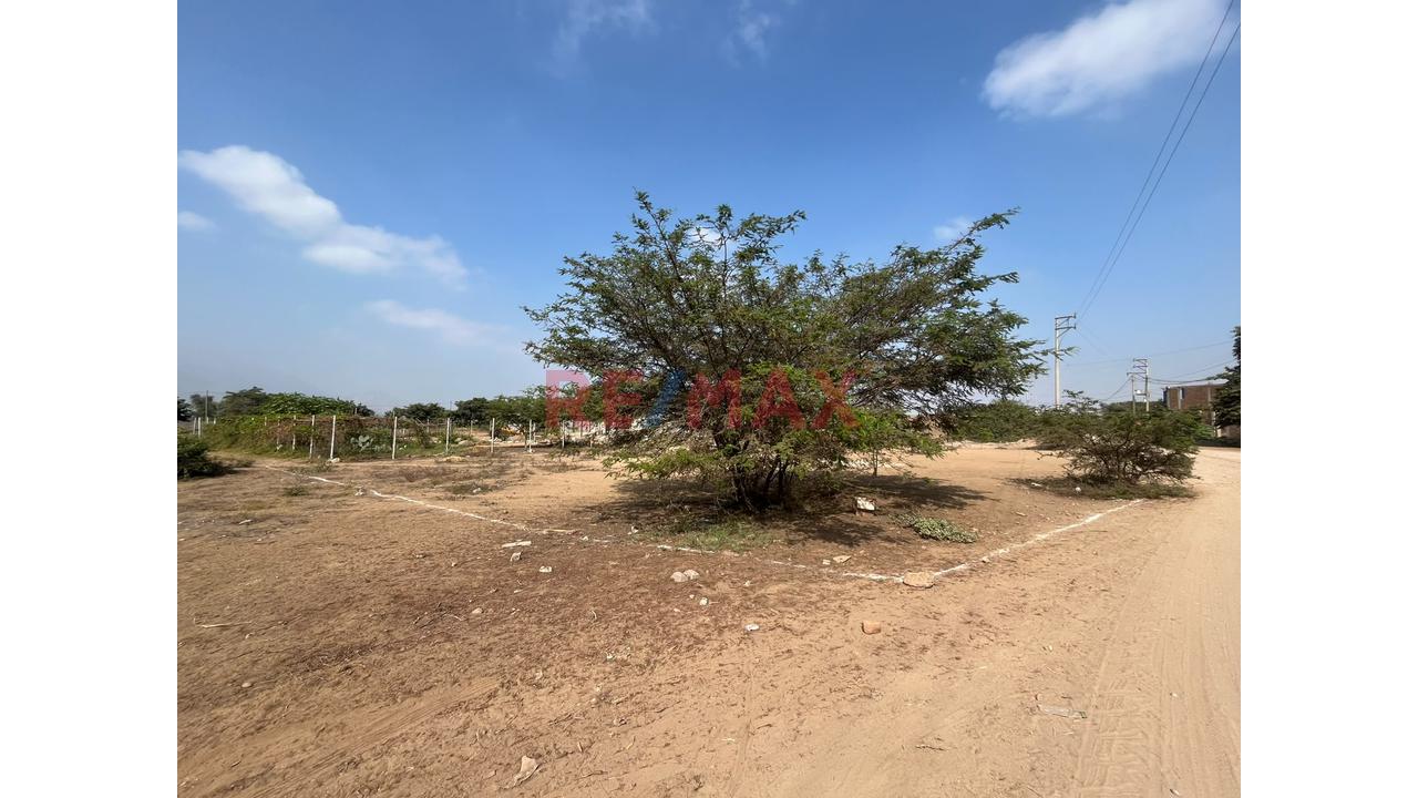 Venta Terreno Agricola Laredo - 3