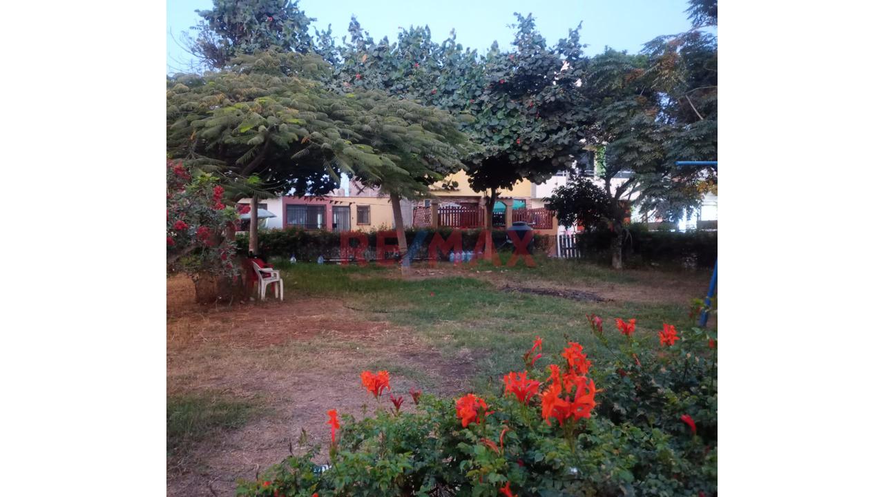 Venta De Casita En La Estancia De Lurin Iii Etapa En Pasaje - 8