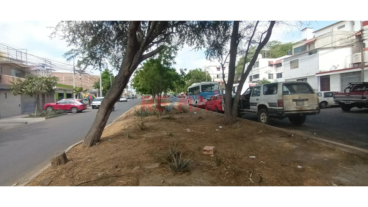 🏢🌳 Departamento En Venta | Av. Las Palmeras | Urb. Santa María Del Pinar | 🏠 3Er Piso | 105 M² | 💰 Desde Us$ 105,000 - 11