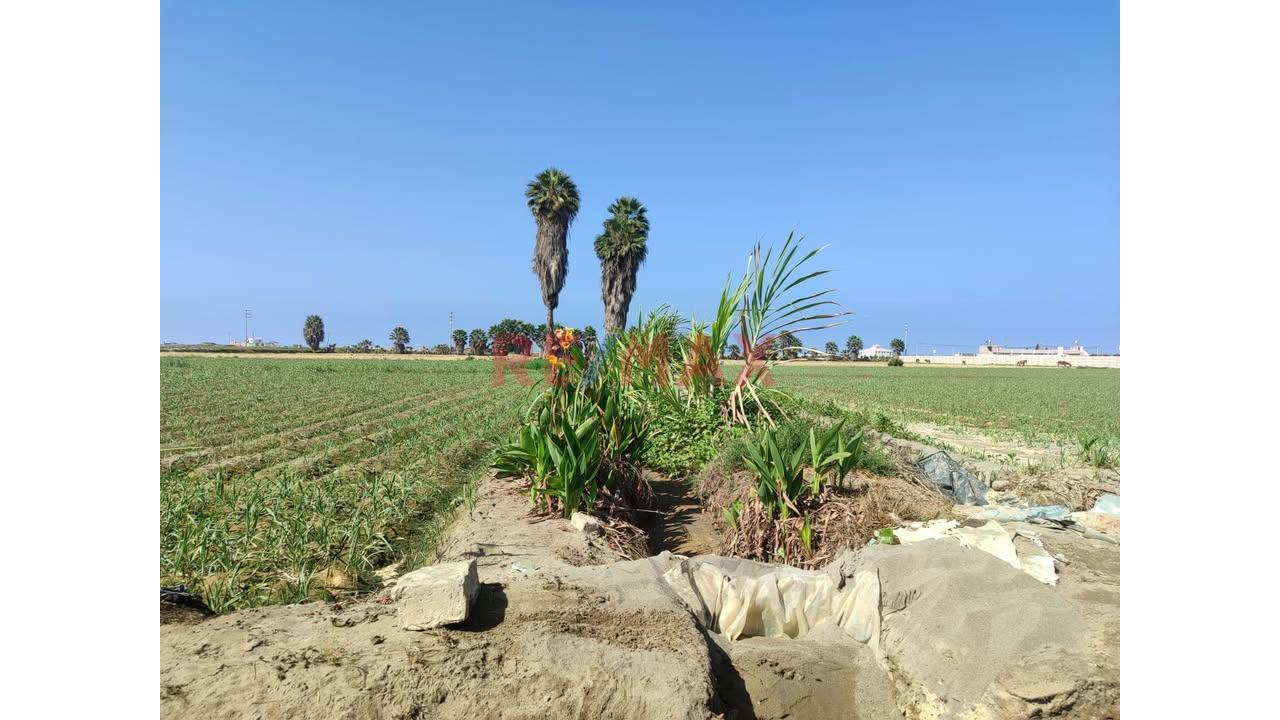 Terreno De Playa Frente Al Malecon Costero De La Punta De Bombon - 6