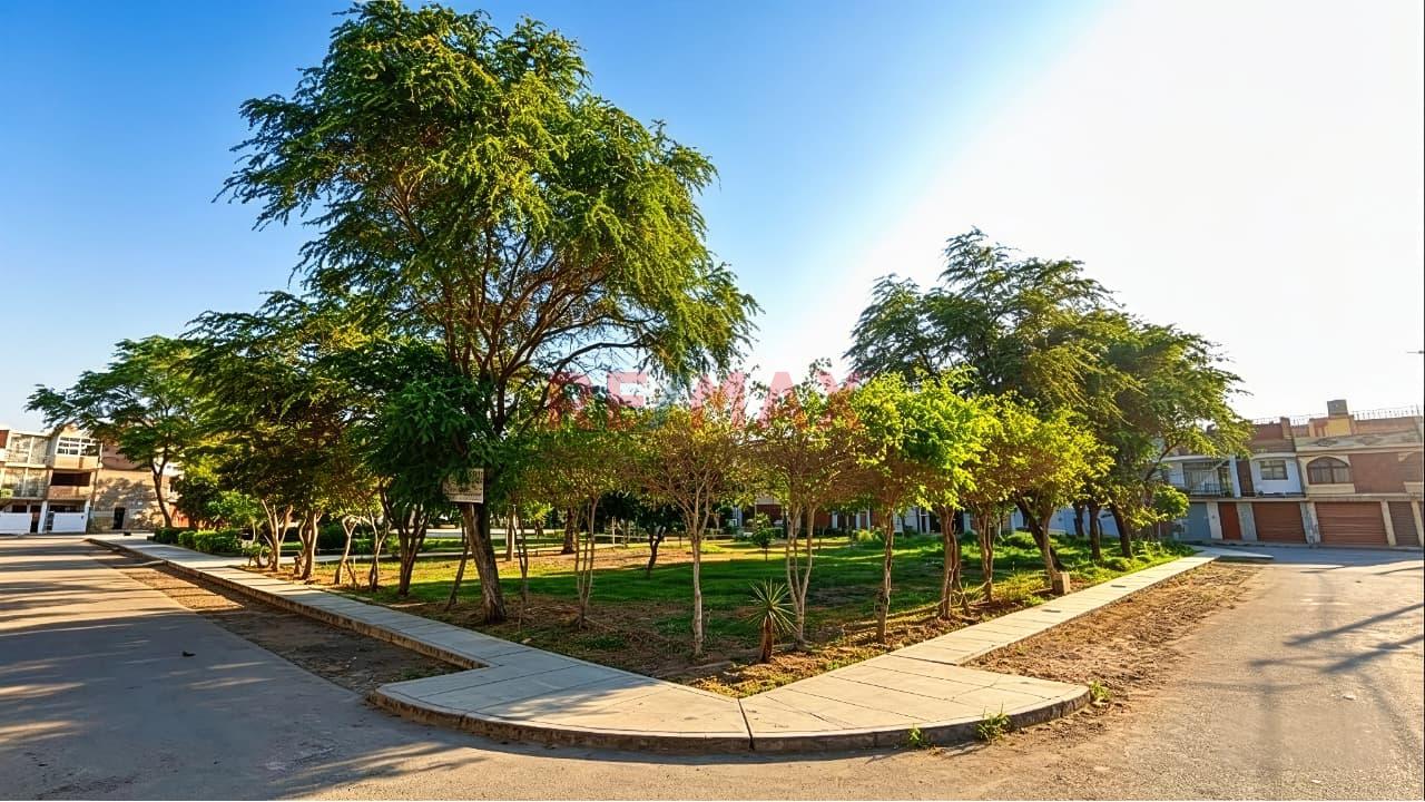 TERRENO URBANO 6
