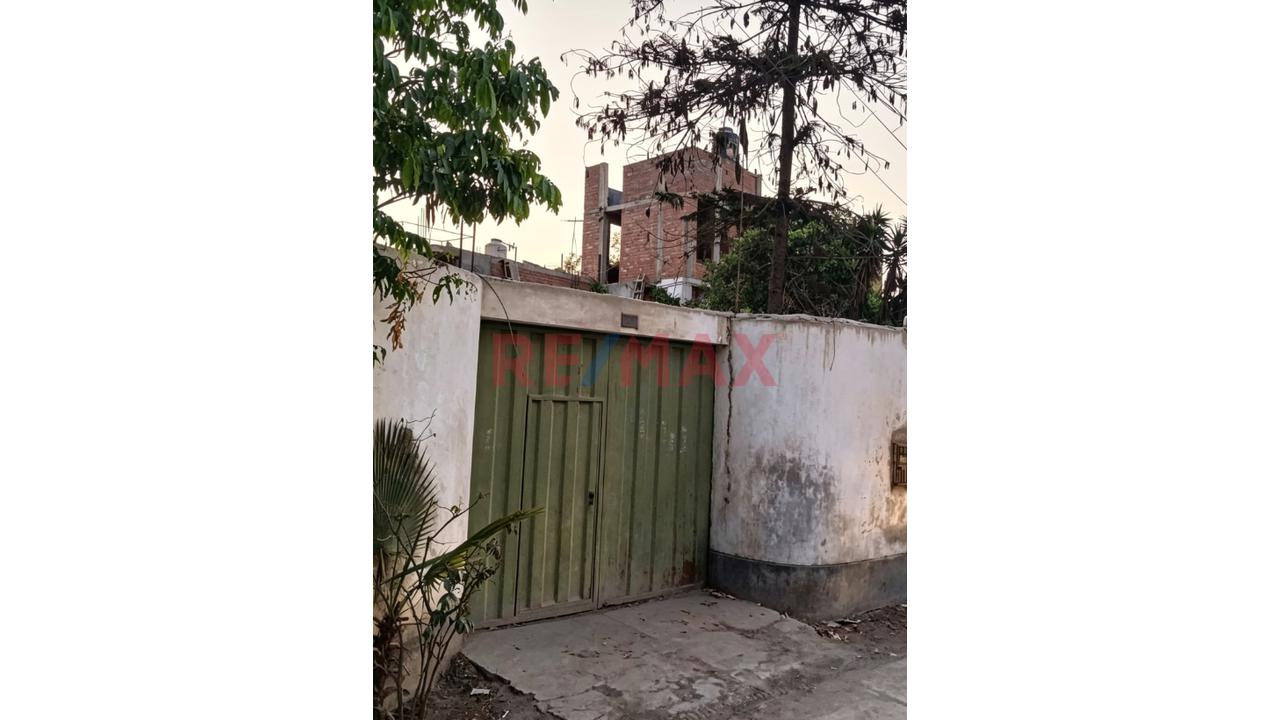 Alquiler De Terreno En Puente Piedra 500M2