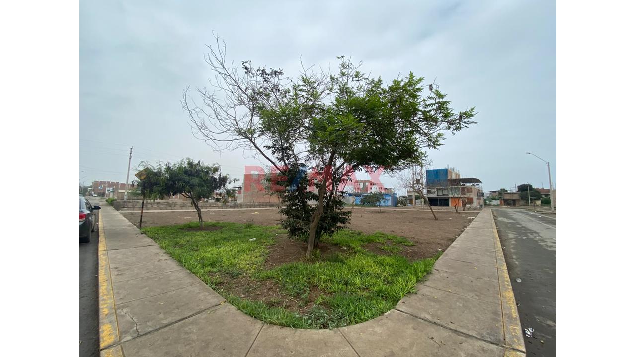 🔥 ¡Oportunidad Única! Terreno De 159 M² En Condominio Villa Verde 1Era Etapa - Lote 25, Pachacamac — foto 5
