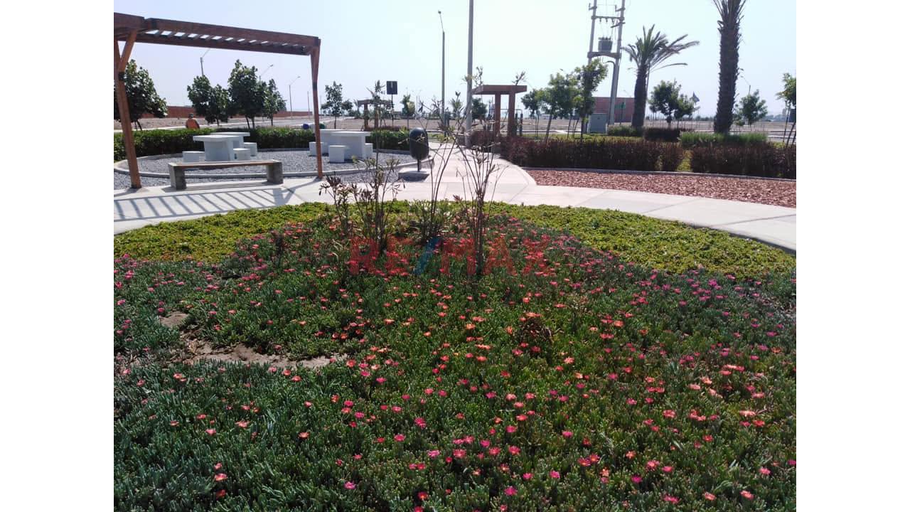 🏡 Terreno En Venta – Condominio La Alborada De Asia 🌊 - Lote 26