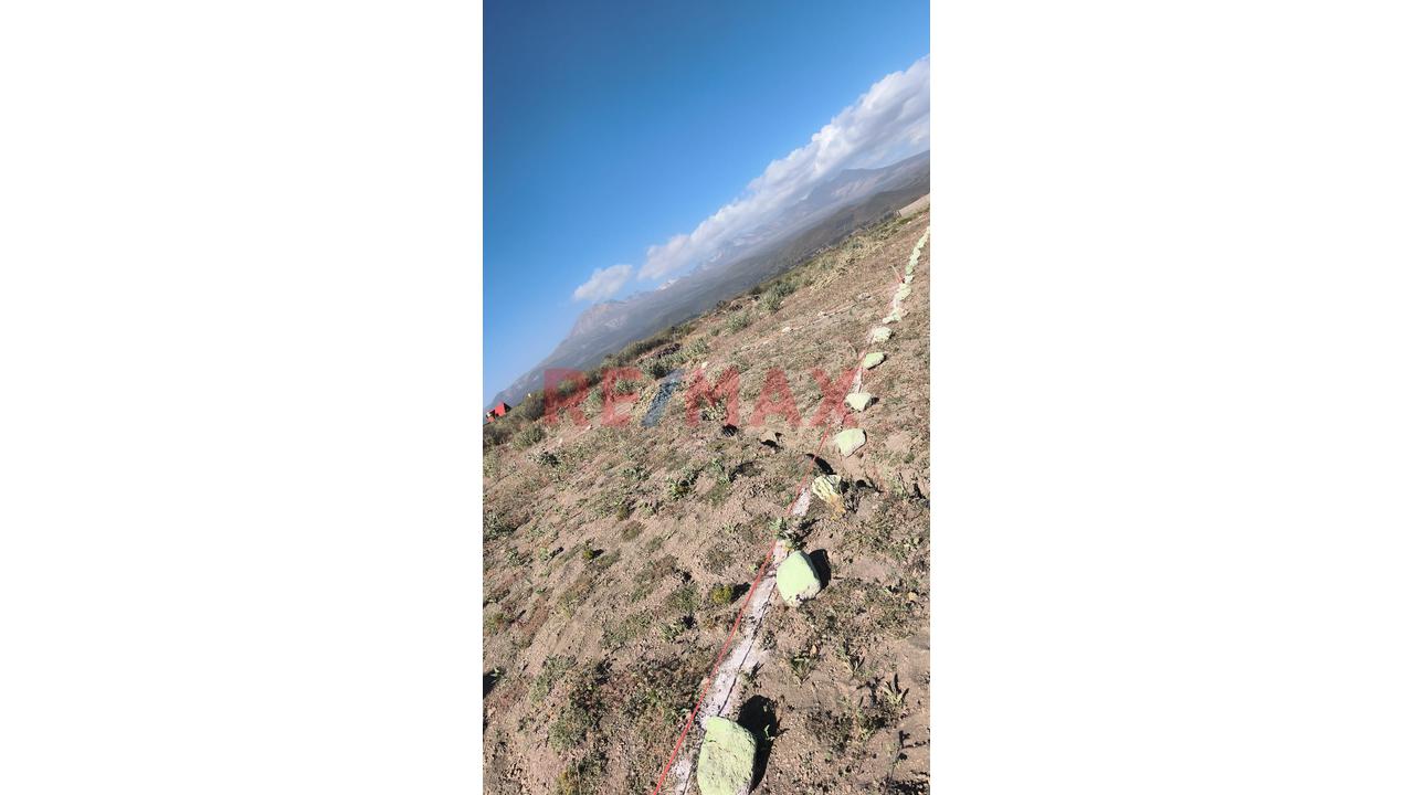 **🌄 ¡Venta De Terreno En Chiguata – Cangallo! 🌄** - 3