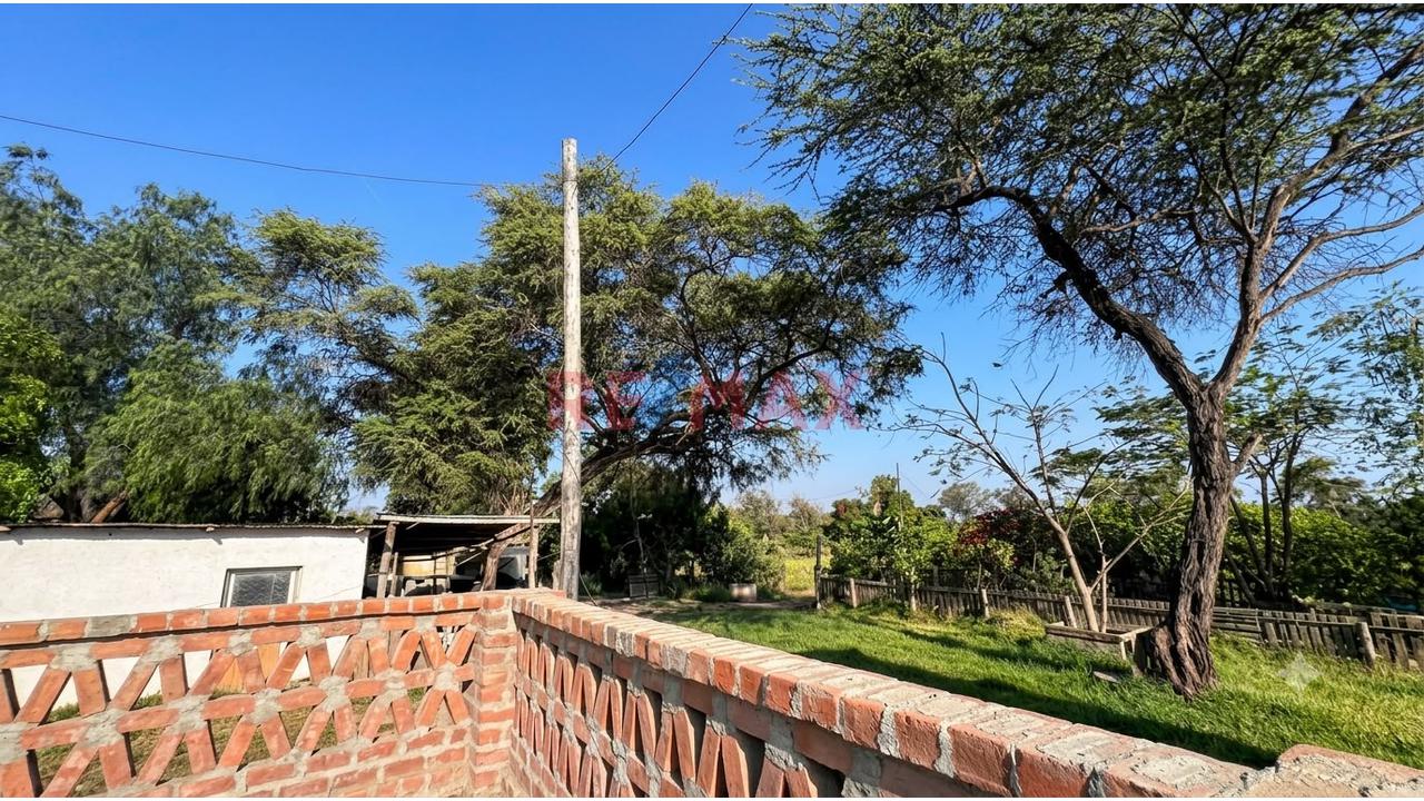 Terreno en Venta ubicado en Jayanca Terreno en Venta ubicado en Jayanca