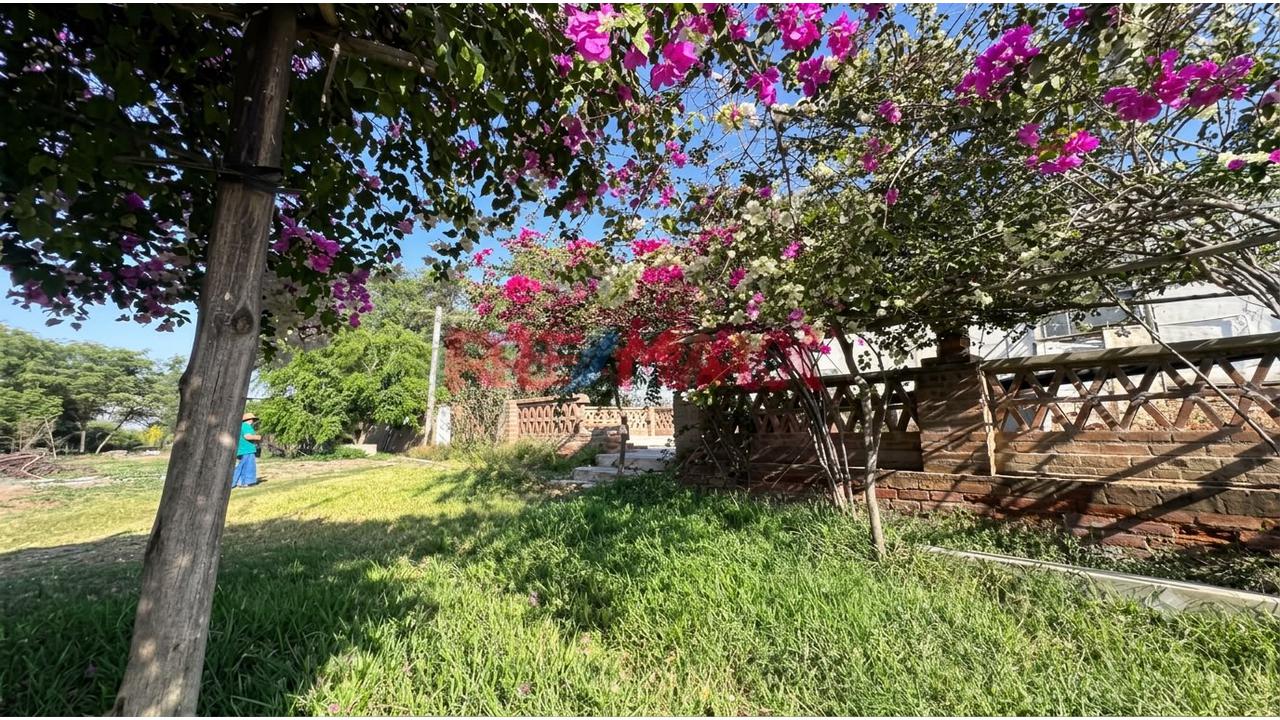 Oportunidad única Terreno ubicado en Jayanca Oportunidad única Terreno ubicado en Jayanca