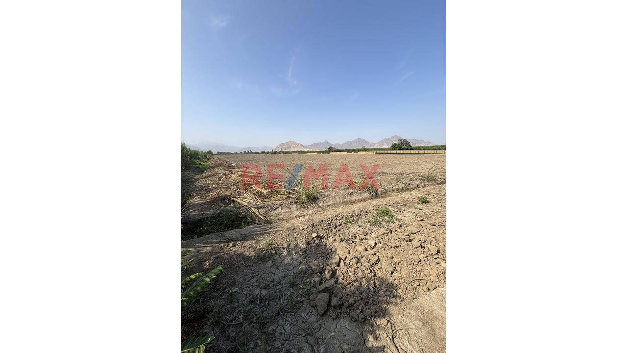 Se Vende Terreno Agrícola Listo Para Producir - 12