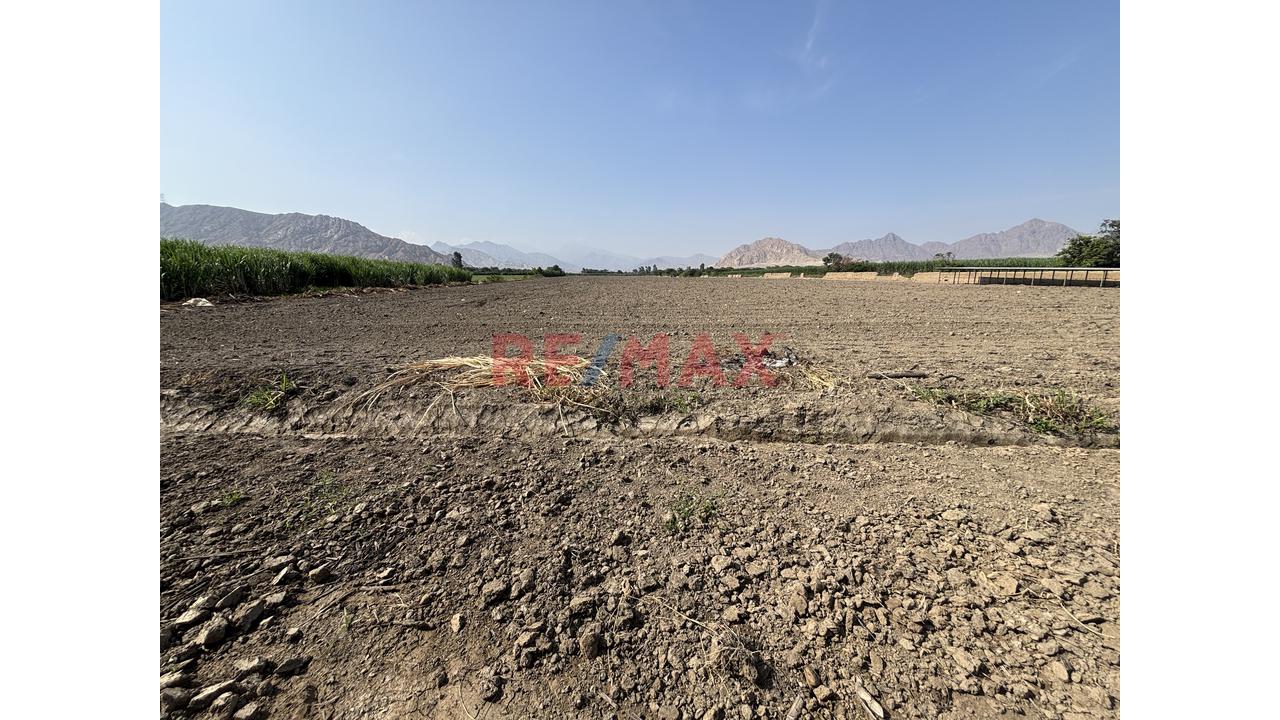 Se Vende Terreno Agrícola Listo Para Producir - 4