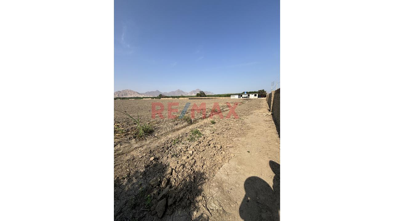 Se Vende Terreno Agrícola Listo Para Producir - 2