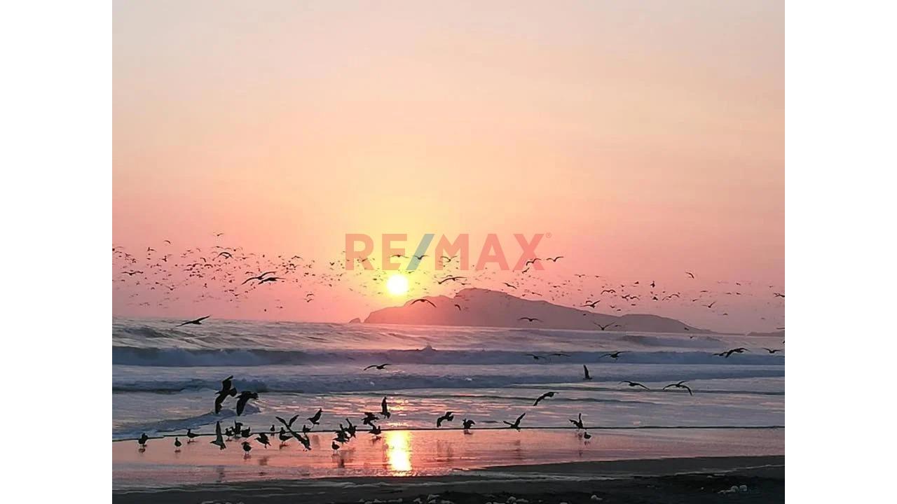 🌴🏖️ ¡Construye La Casa De Playa Que Siempre Soñaste! 🏖️🌴 - 10