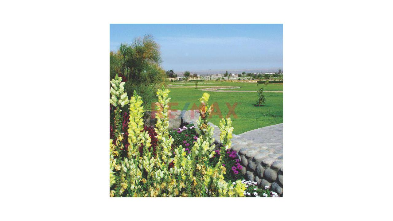 🌿 La Pradera Del Lago - La Joya - 3