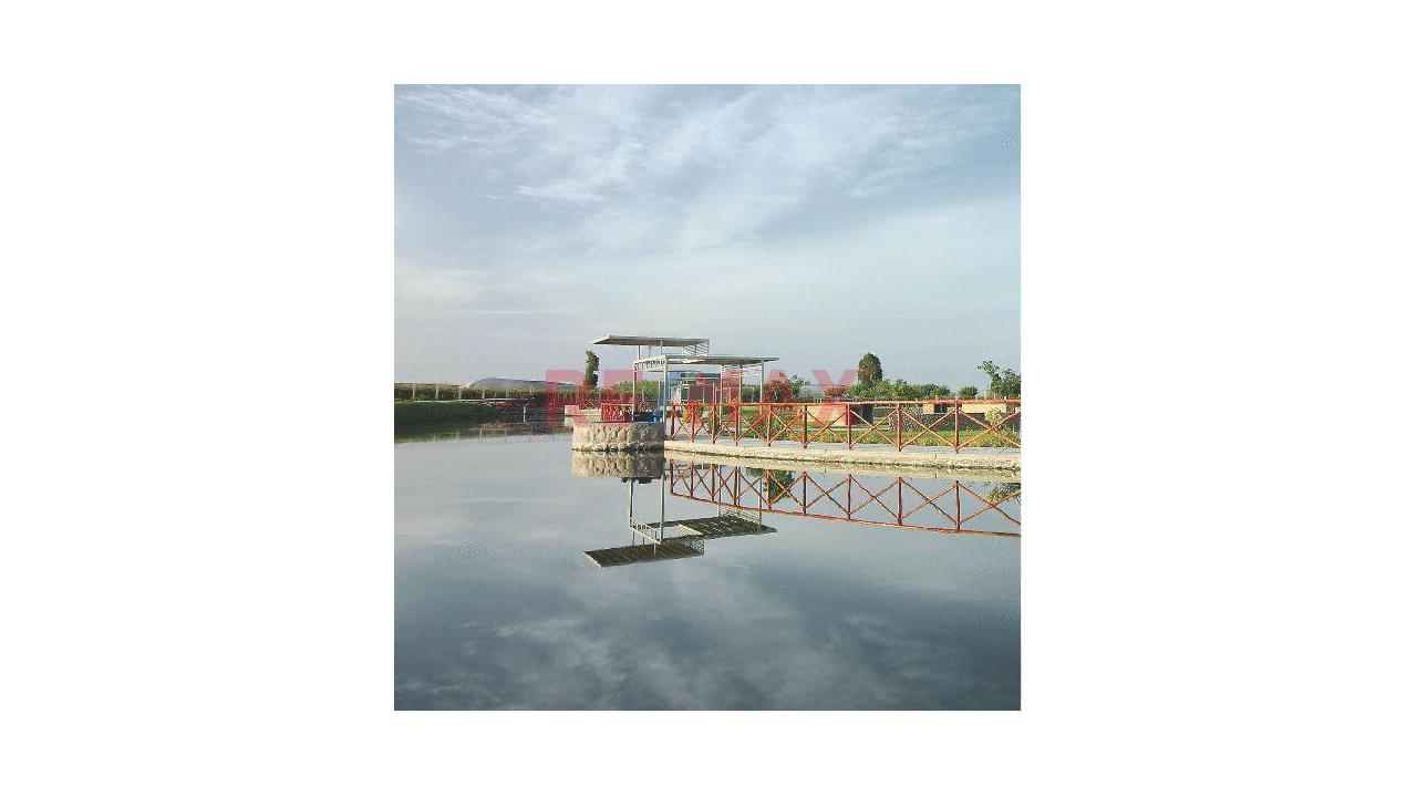 🌿 La Pradera Del Lago - La Joya - 5