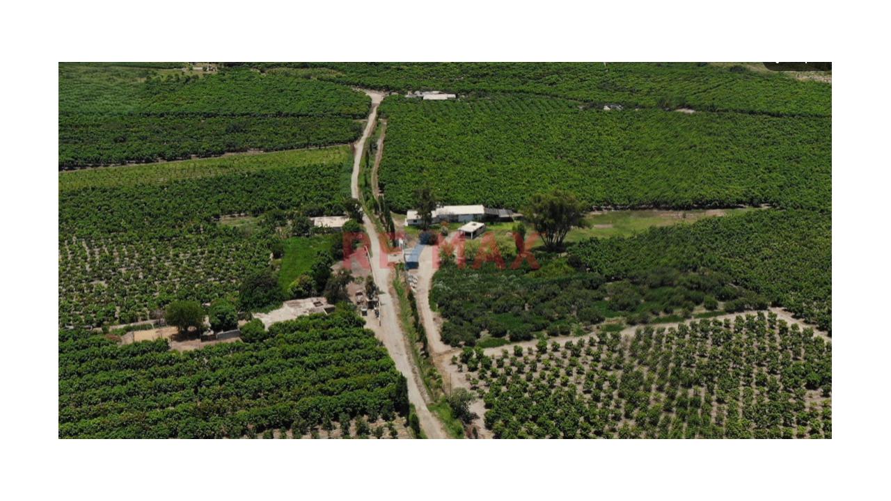 Se Vende Fundo Agricola De 11.6 Ha En Casma - 3