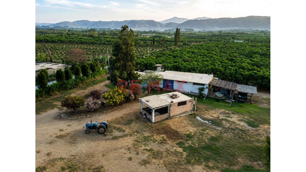 Se Vende Fundo Agricola De 11.6 Ha En Casma - 4