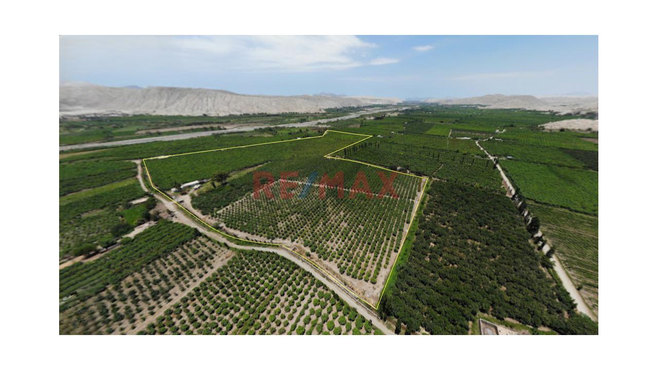 Se Vende Fundo Agricola De 11.6 Ha En Casma - 2