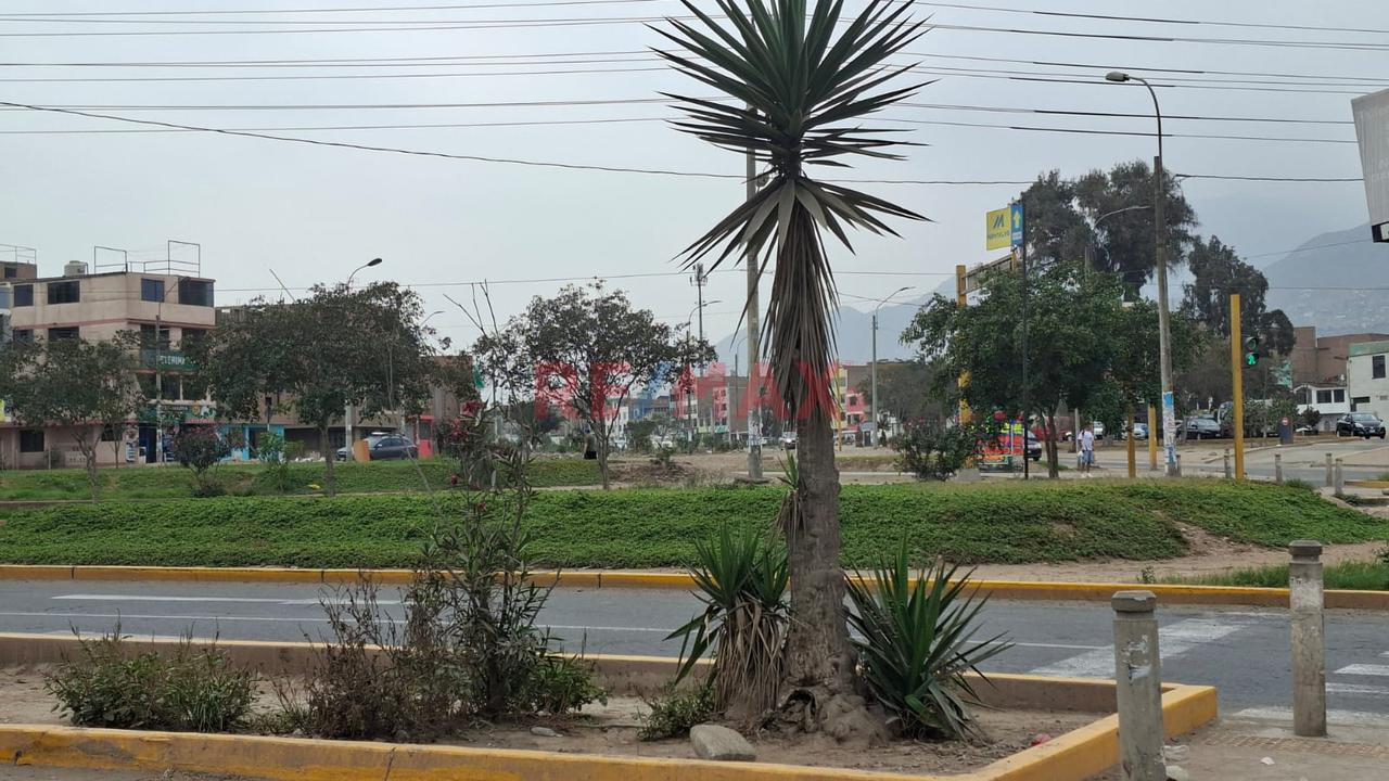 Alquilo Local Comercial 1, 2 Pisos + Azotea En La Av. Chimpu Ocllo - Carabayllo — foto 10
