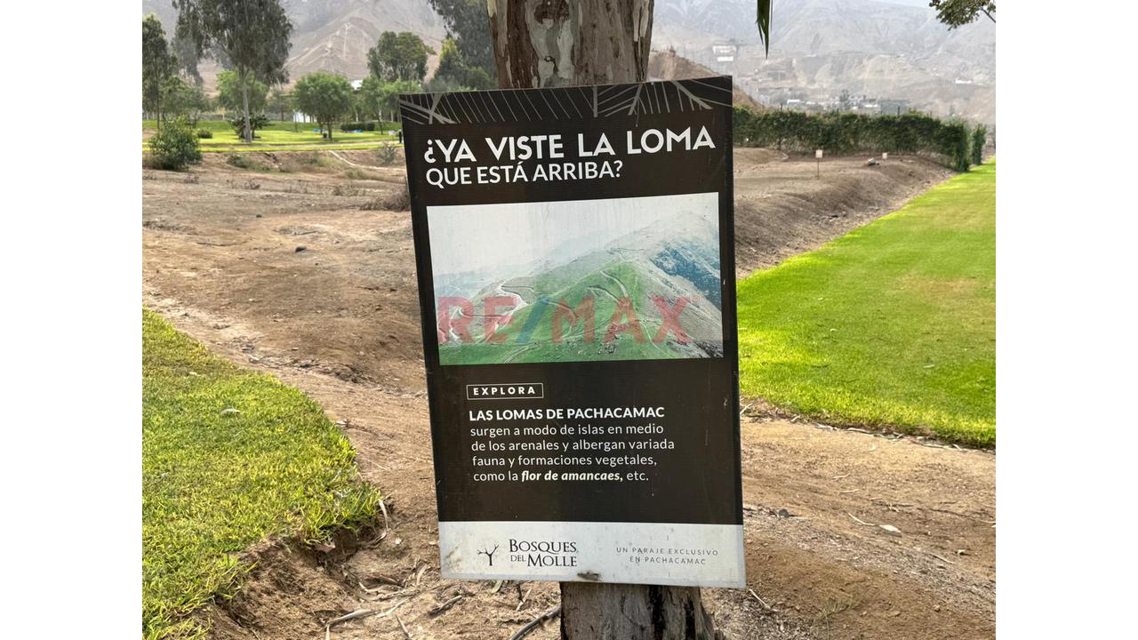 Venta De Terreno En Condominio Bosques Del Molle-Pachacamac-Cieneguilla — foto 5