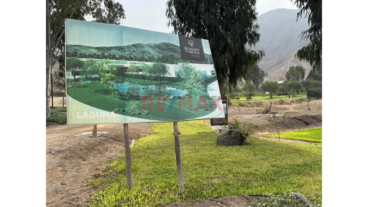 Venta De Terreno En Condominio Bosques Del Molle-Pachacamac-Cieneguilla — foto 13