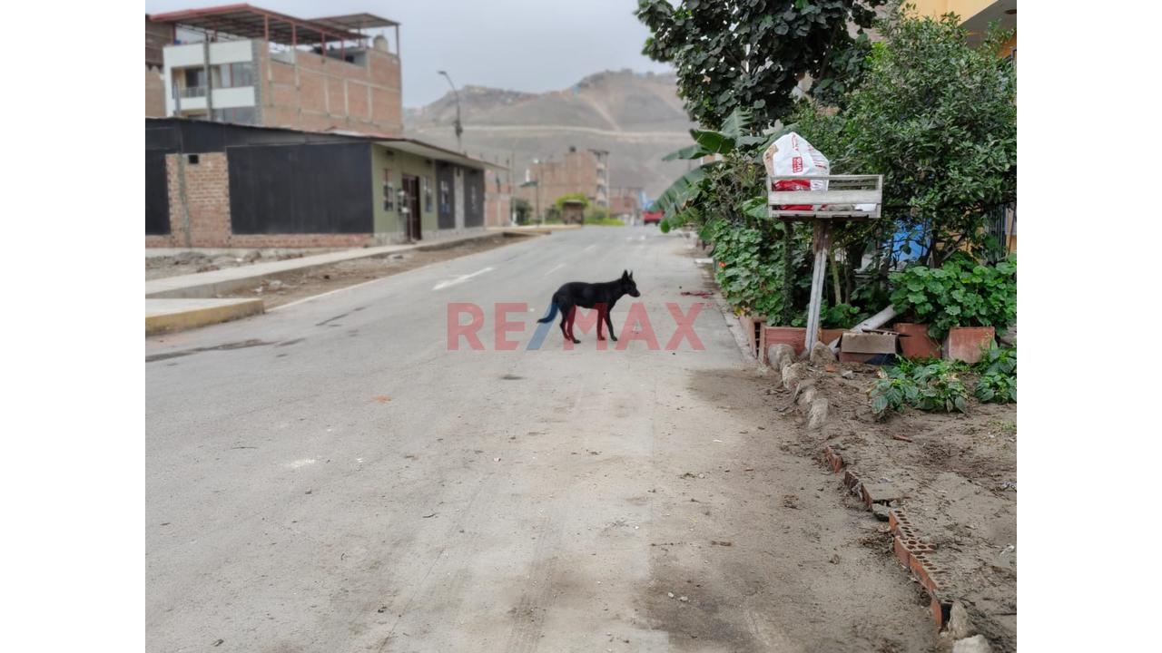Vendo Terreno En Condominio Urb. La Planicie 1 Carabayllo — foto 5