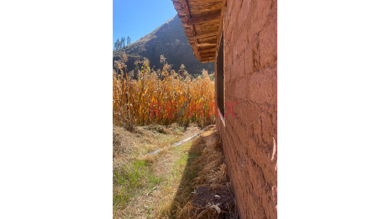 Terreno En Venta - Vicho San Salvador, Cusco - 5