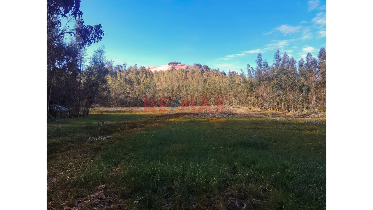 Tu Refugio Natural Existe | Terreno Rodeado De Bosque Y Agua Natural En Apata - 2