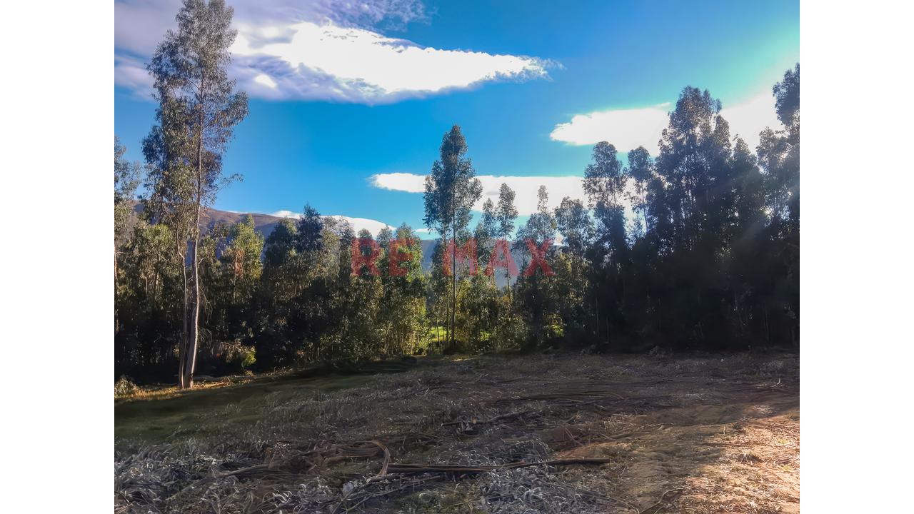 Tu Refugio Natural Existe | Terreno Rodeado De Bosque Y Agua Natural En Apata - 3