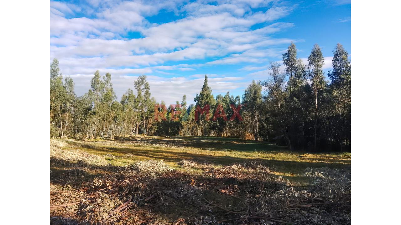 Tu Refugio Natural Existe | Terreno Rodeado De Bosque Y Agua Natural En Apata - 4