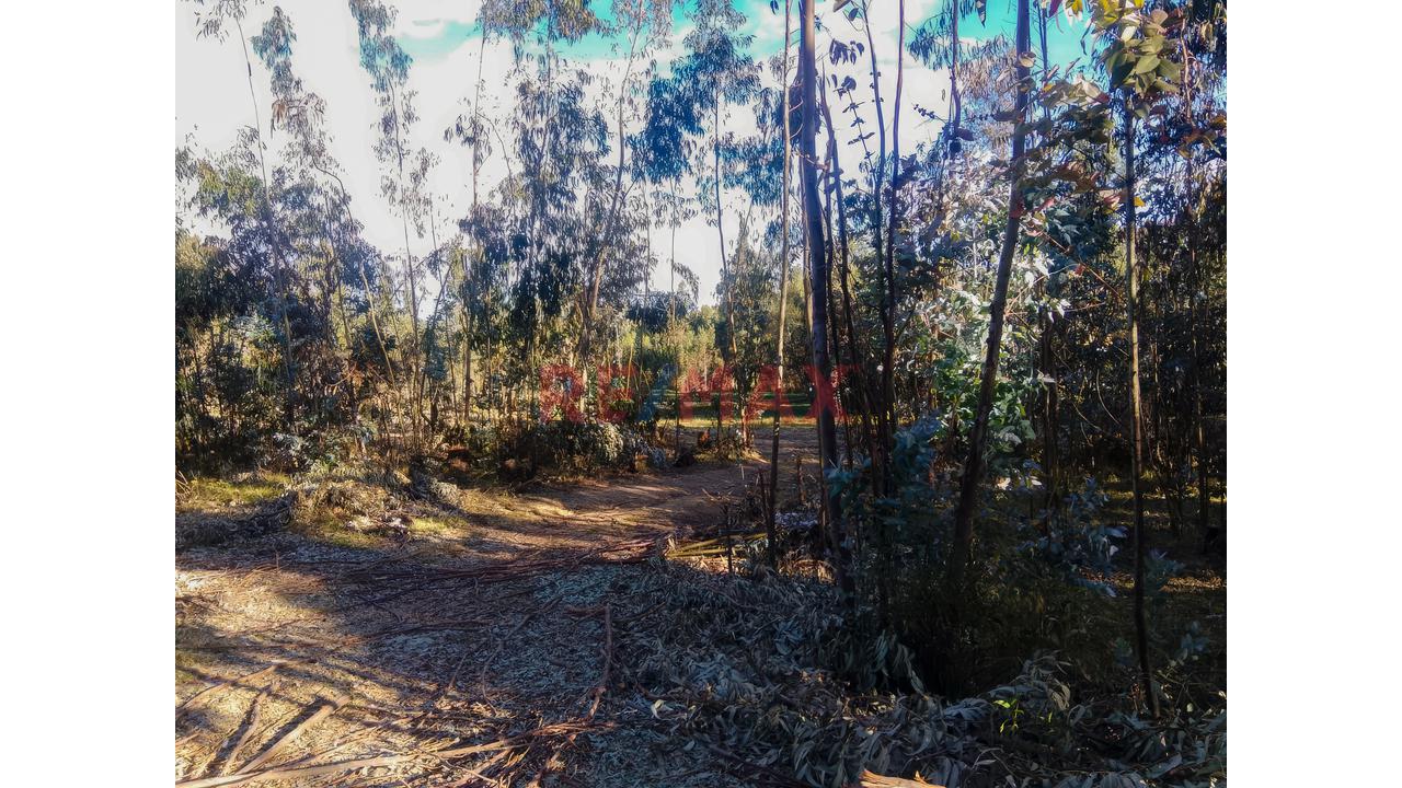 Tu Refugio Natural Existe | Terreno Rodeado De Bosque Y Agua Natural En Apata - 5