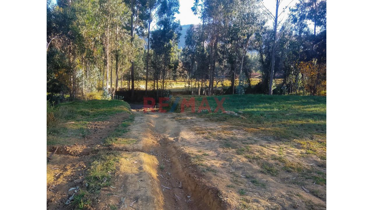 Tu Refugio Natural Existe | Terreno Rodeado De Bosque Y Agua Natural En Apata - 6
