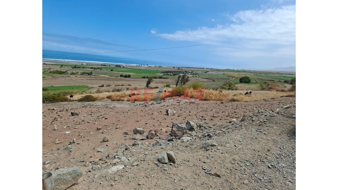 Venta De Terreno Rustico De 5000 M2 Mollendo -Mejia - 4